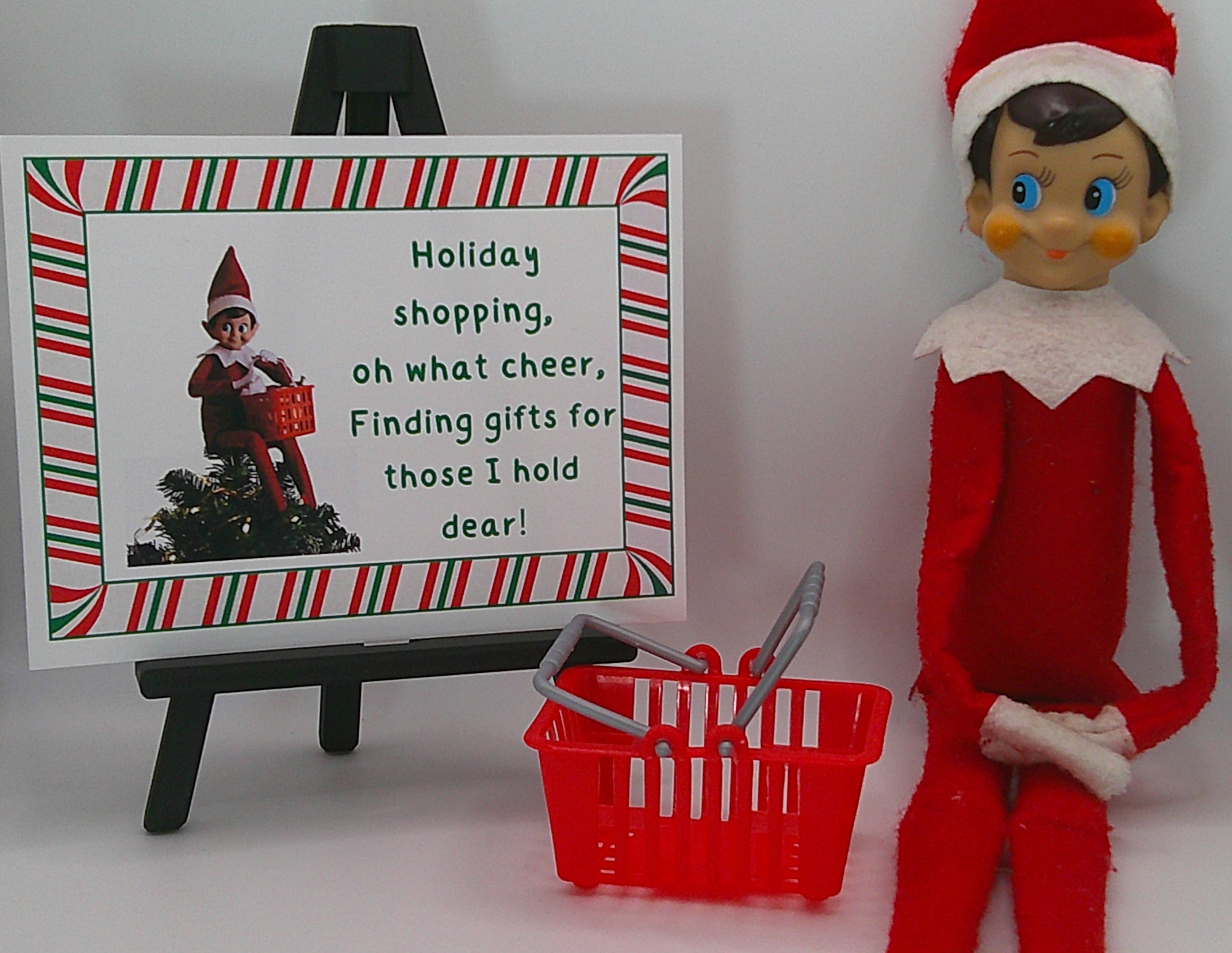 Shopping Basket Prop Kit