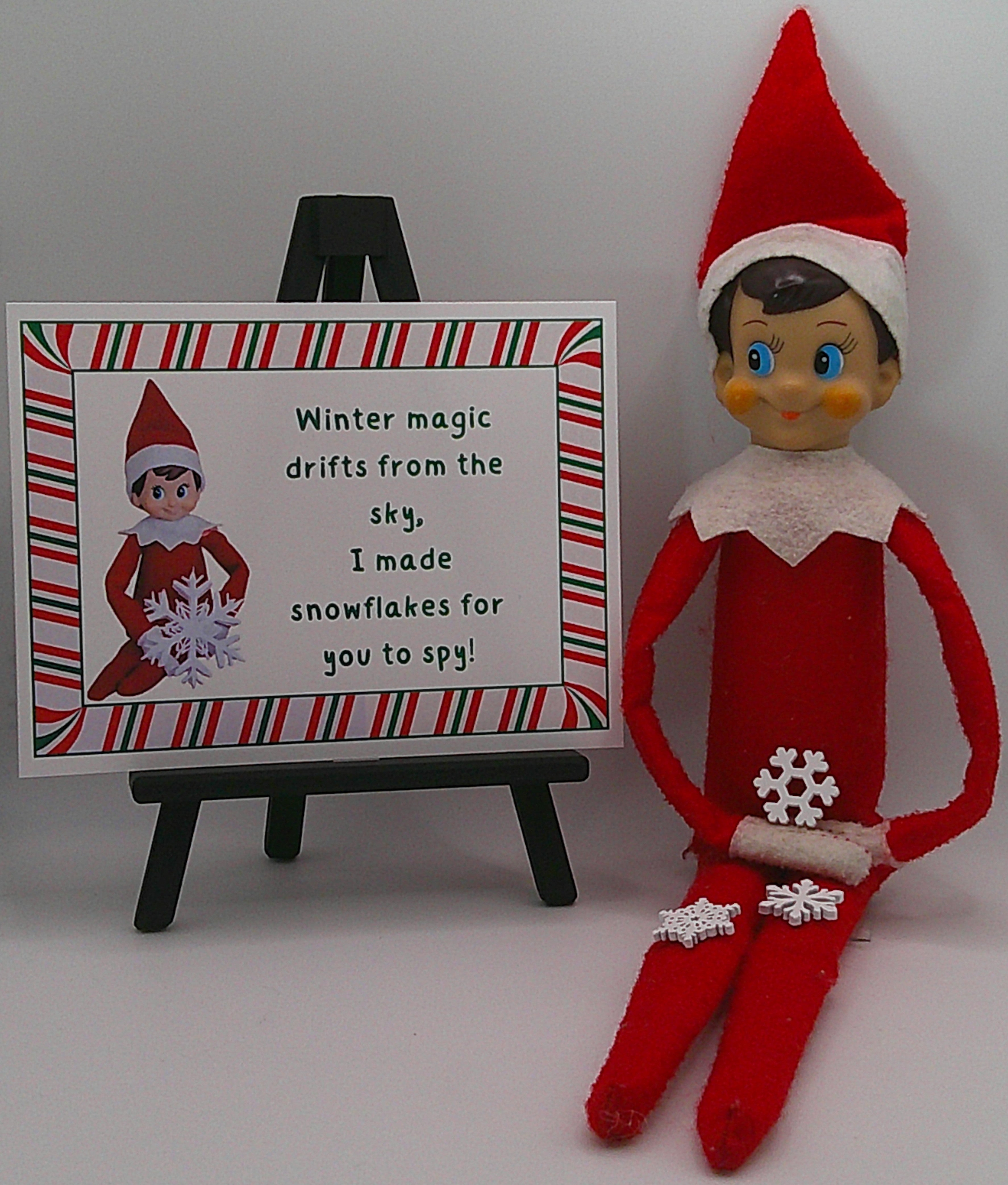 Snow flakes Prop Kit